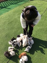 -萌宠亲子动物乐园(槐房万达店)