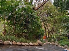 -融汇温泉