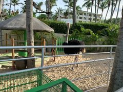 -三亚亚龙湾天域度假酒店