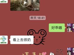 -雨林宠物医院·异宠专科(浦东分院)