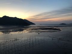 -北岐滩涂