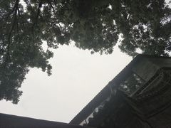-春庄咖啡SpringHues(钟楼小区店)