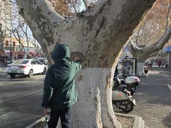 -南京维景国际大酒店(南京博物院店)