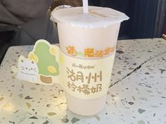 柠檬奶-猫的魔法密林(衣裳街店)