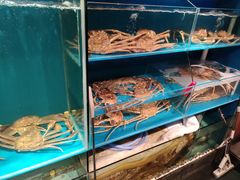 -蟹田居·活蟹料理(东城店)