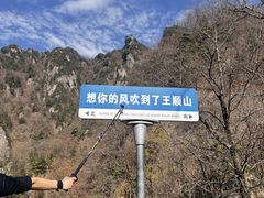 -王顺山国家森林公园