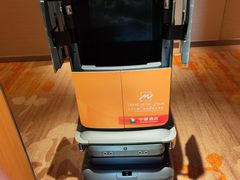 -北京广安门维景国际大酒店