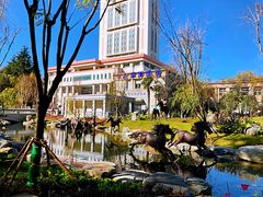 平面分布图-云南省图书馆