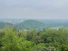 -上海佘山国家森林公园西佘山园