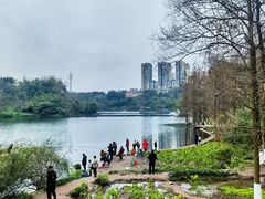 -重庆彩云湖湿地公园