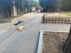 -晋祠公园