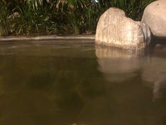 -青城道汤池