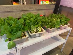 自助取餐区-捞围鲜·港式打边炉(海阳路店)