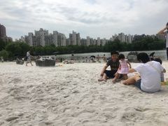 -大宁郁金香公园-停车场