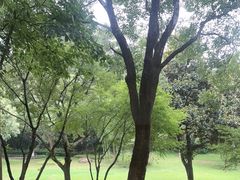 -天目湖御水温泉·度假酒店