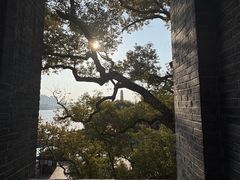 -江心屿景区