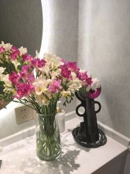 -YESIDO椰岛美容