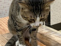 -玉椰林甜品店(创始店)