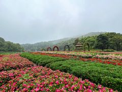 -广州市石门国家森林公园