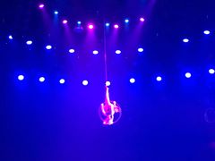 -珠海横琴长隆《卡卡虎奇遇记》