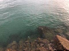 -芽庄MP泰式海鲜海景餐厅