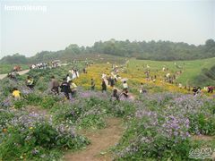 -保利石象湖景区