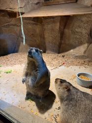 -酷嗒动物文化乐园(cutezoo西溪乐天城店)