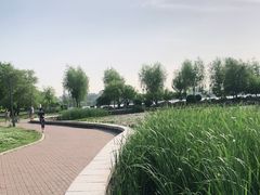 -长春市南湖公园