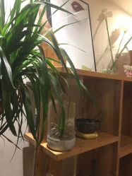 -康颜SPA自然疗愈皮肤管理中心