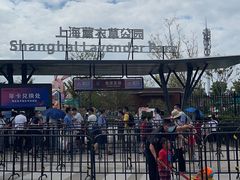 -季高兔窝窝亲子园(上海薰衣草公园店)