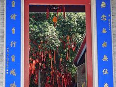 -国恩寺