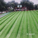 周末遛娃宝藏地||打卡格林东庄 这里户外的场地很大
