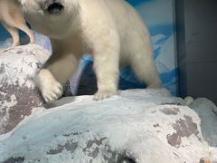 -浙江自然博物院(杭州馆)