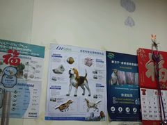 -宠物星动物医院·眼科·异宠·猫专科中心(江南大道总院)