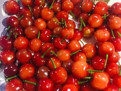 -菜香根大酒楼(首师大店)