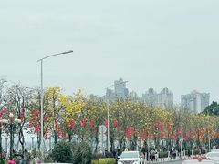 -洲头咀公园