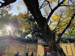 -惠山古镇·寄畅园