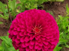 -帽儿山国家森林公园