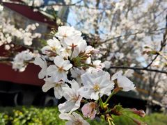 -新天地活力PARK