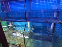 -面道赞宁海海鲜面(迎凤街店)