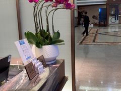 -深圳楚天大酒店(福田口岸深圳会展中心店)