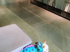 -Gucci(首创奥特莱斯店)