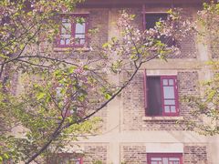 -武汉大学-樱园