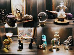 -雪灵魔法世界SHELLY’S TAROT(大良桂畔里店)