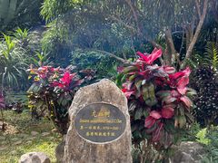 -中国科学院西双版纳热带植物园