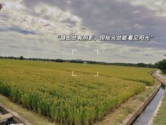 -嘉北郊野公园