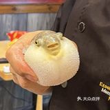 丑萌丑萌的，吼吃！！！ 