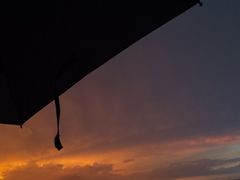 -东郊椰林