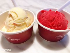 -哈根达斯(龙湖时代天街店)