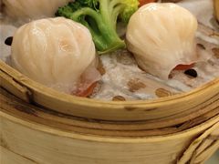 -香港美食大酒楼